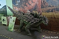 VBS_0925 - Dinosauri. Terra dei giganti